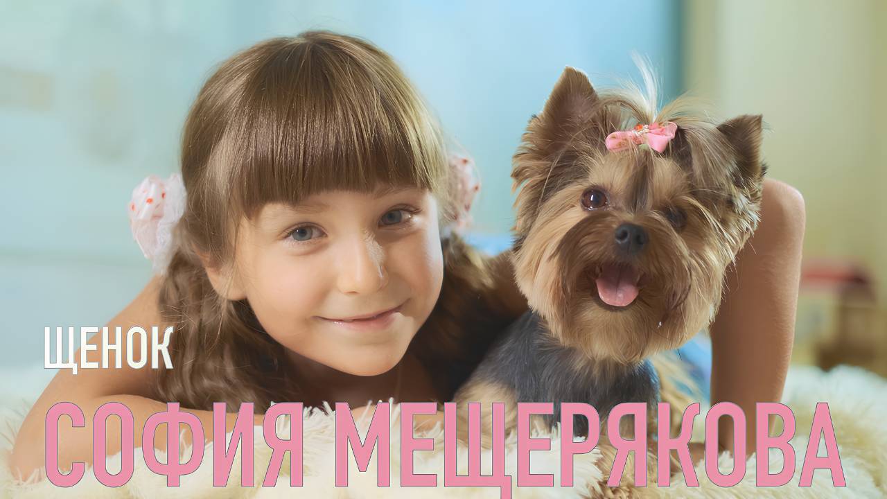 София Мещерякова "Щенок"
